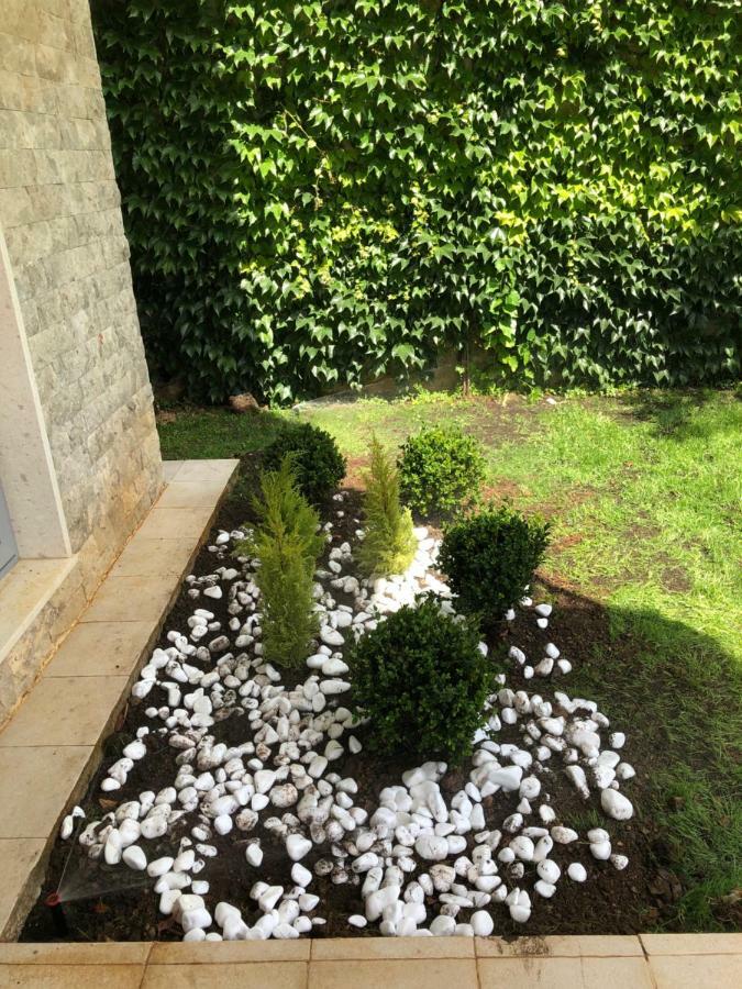 Acacia Hill A3 Apartamento Ðenovići Exterior foto